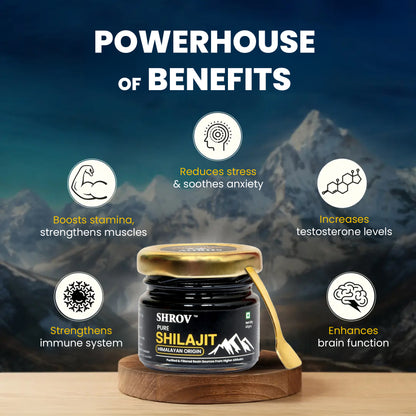 Pure Shilajit Himalayan Origin 40gm